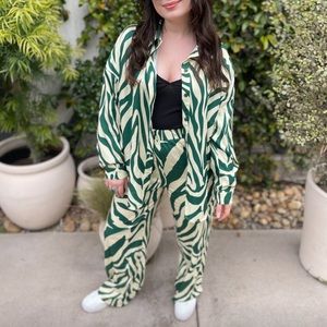 Matching Green Zebra Set